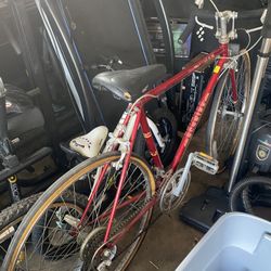 Schwinn Speed Bike (READ DESCRIPTION)