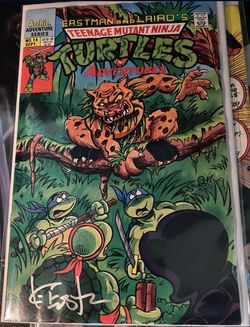 Teenage Mutant Ninja Turtles #14 Cgc9.0 Signed Kevin Eastman