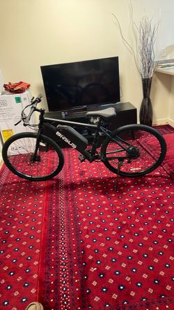 URSUS Electric Bike