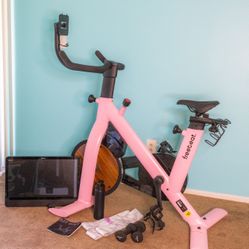 New Pink Freebeat LIT bike 