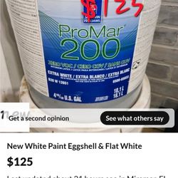 White Paint Eggshell & Flat