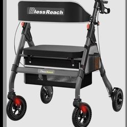 Bless Reach Walker