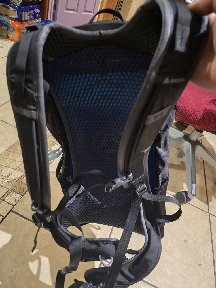 Gregory  Citro 24  Ozone Black Back Pack