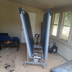 Large Ping Pong Table 