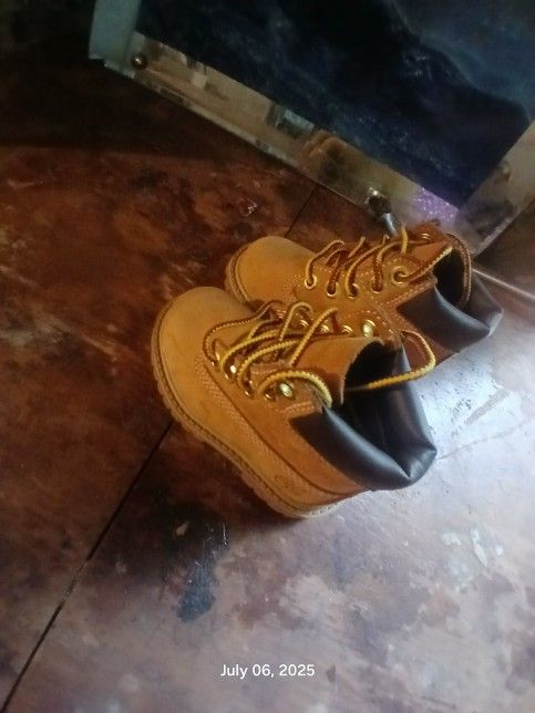 toddler wheat timberland boots