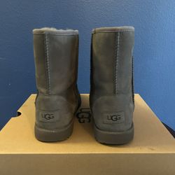 New Grey Uggs