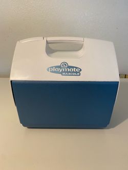 16qt Igloo Playmate