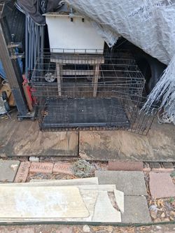 Dog kennel