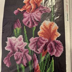 Bearded Iris