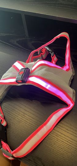 LED Dog Harness