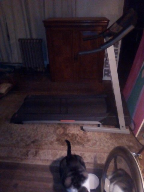 Weslo Used Electric Treadmill In Very Good Condition