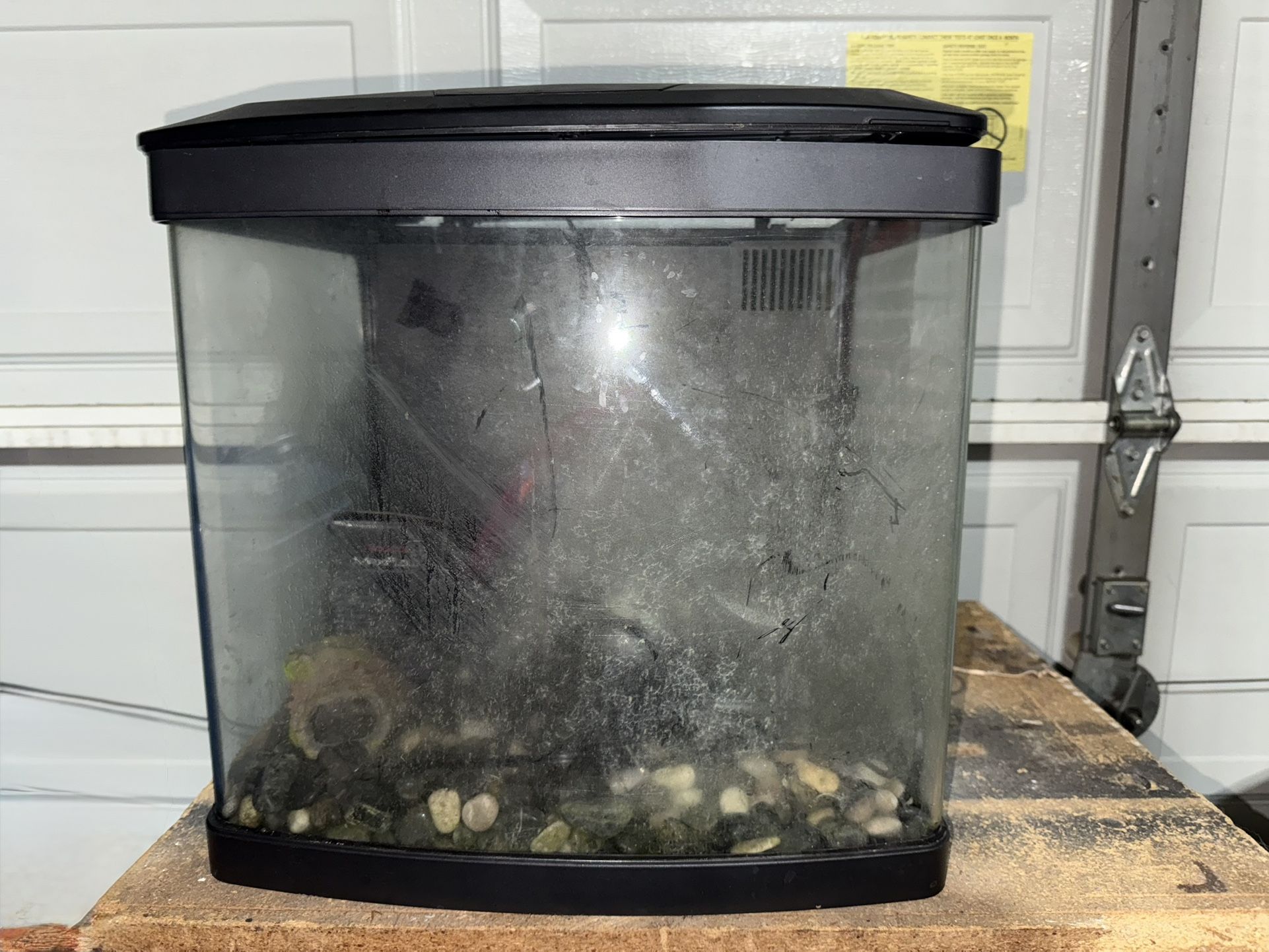 BioCube 16 Gal Fish Tank