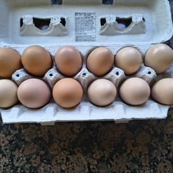 Organic eggs