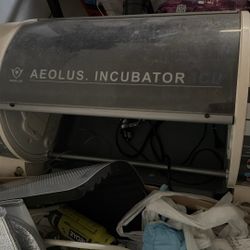 Dog Incubator 