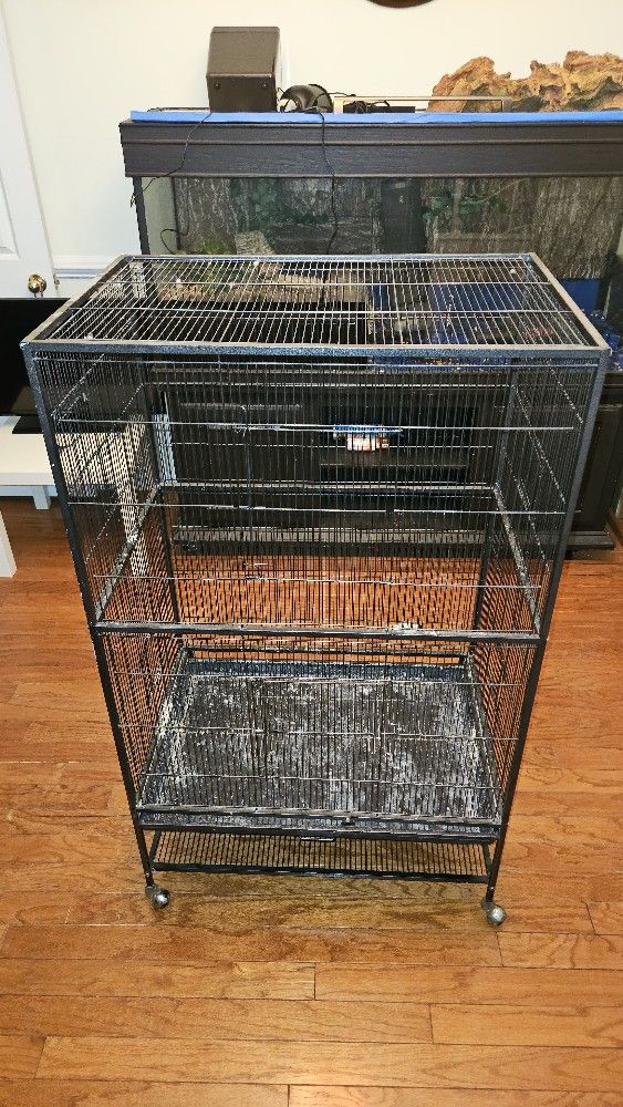 Bird Cage