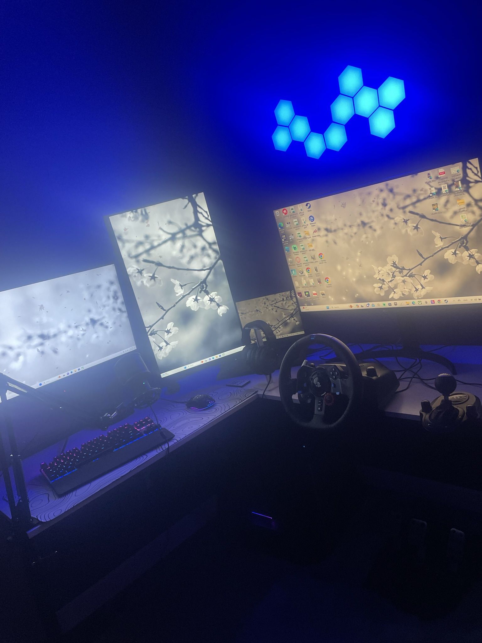 Complete Gaming/Work Setup(taking Offers)