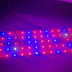 Grow Plant LED Light 