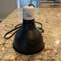Reptile Heat Lamps 