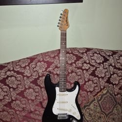 Washburn Shadow Series Solid Body Electric Guitar