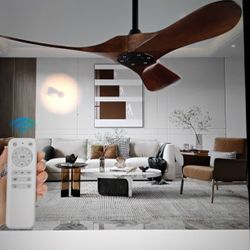 42" Indoor/ Outdoor Ceiling Fan