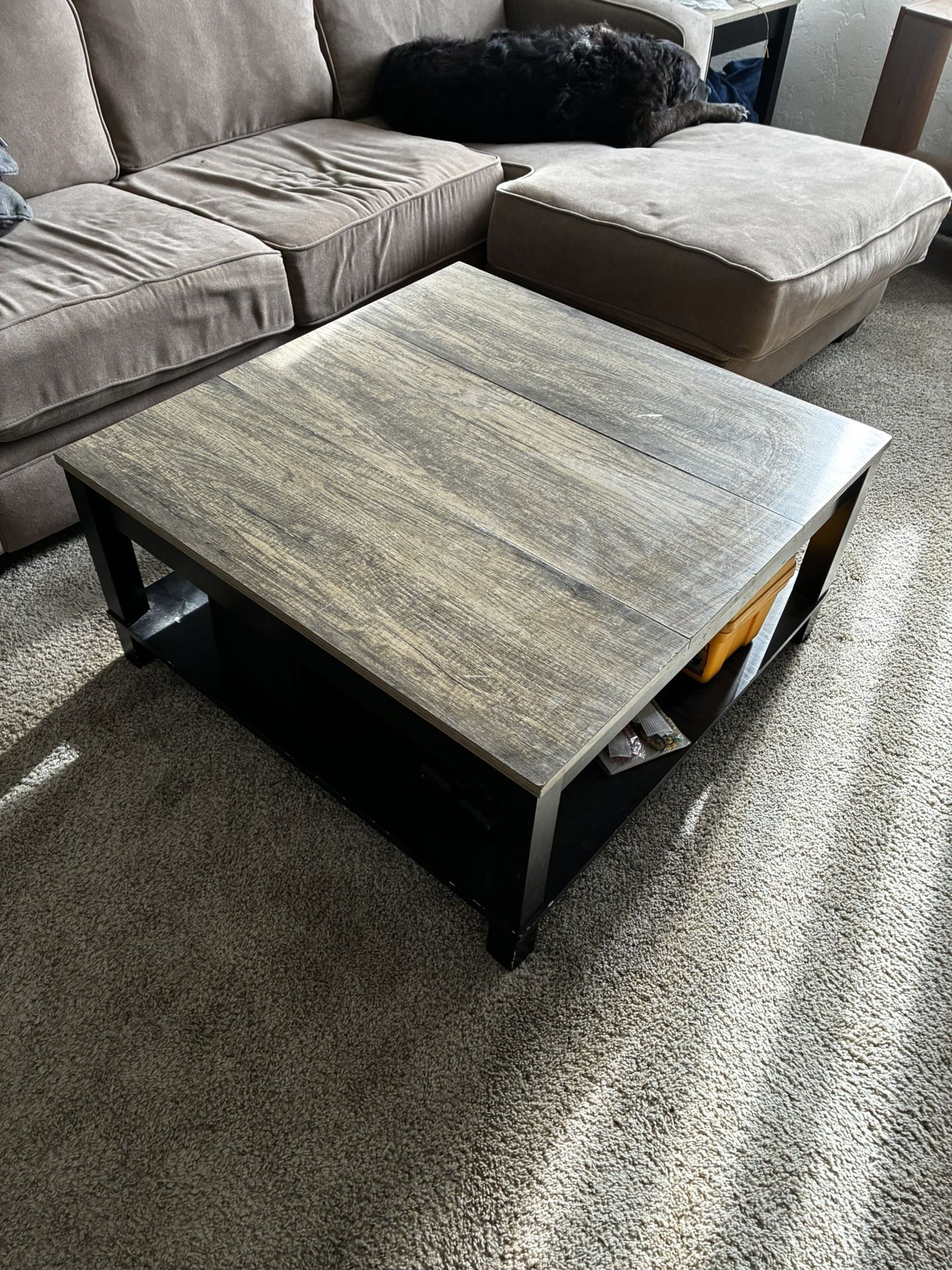 Square Coffee Table With 2-Tier Storage