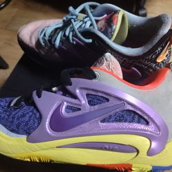 Autographed Nike KD15 Limited Edition Museum Collection Shoes