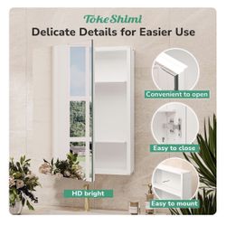 TokeShimi 16x20 Recessed Medicine Cabinet with Mirror Aluminum