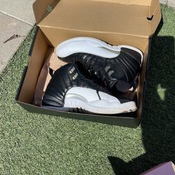 jordan 12