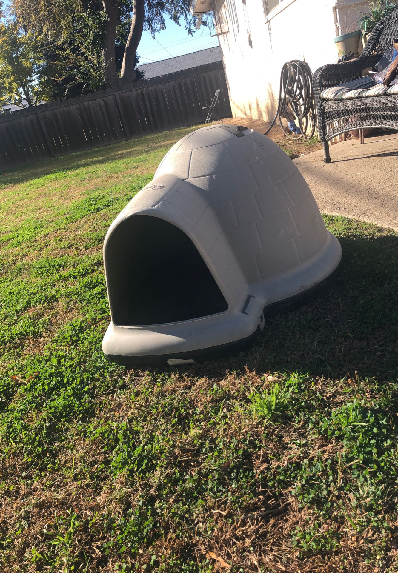 Dog igloo