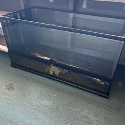 Terrarium 