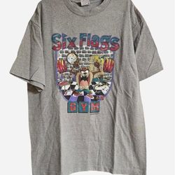 Grey vintage 90s Looney Tunes Taz Six Flags gym shirt