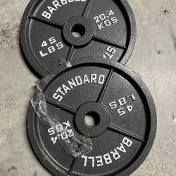 45lb Olympic Standard Weight Plate Pair NEW