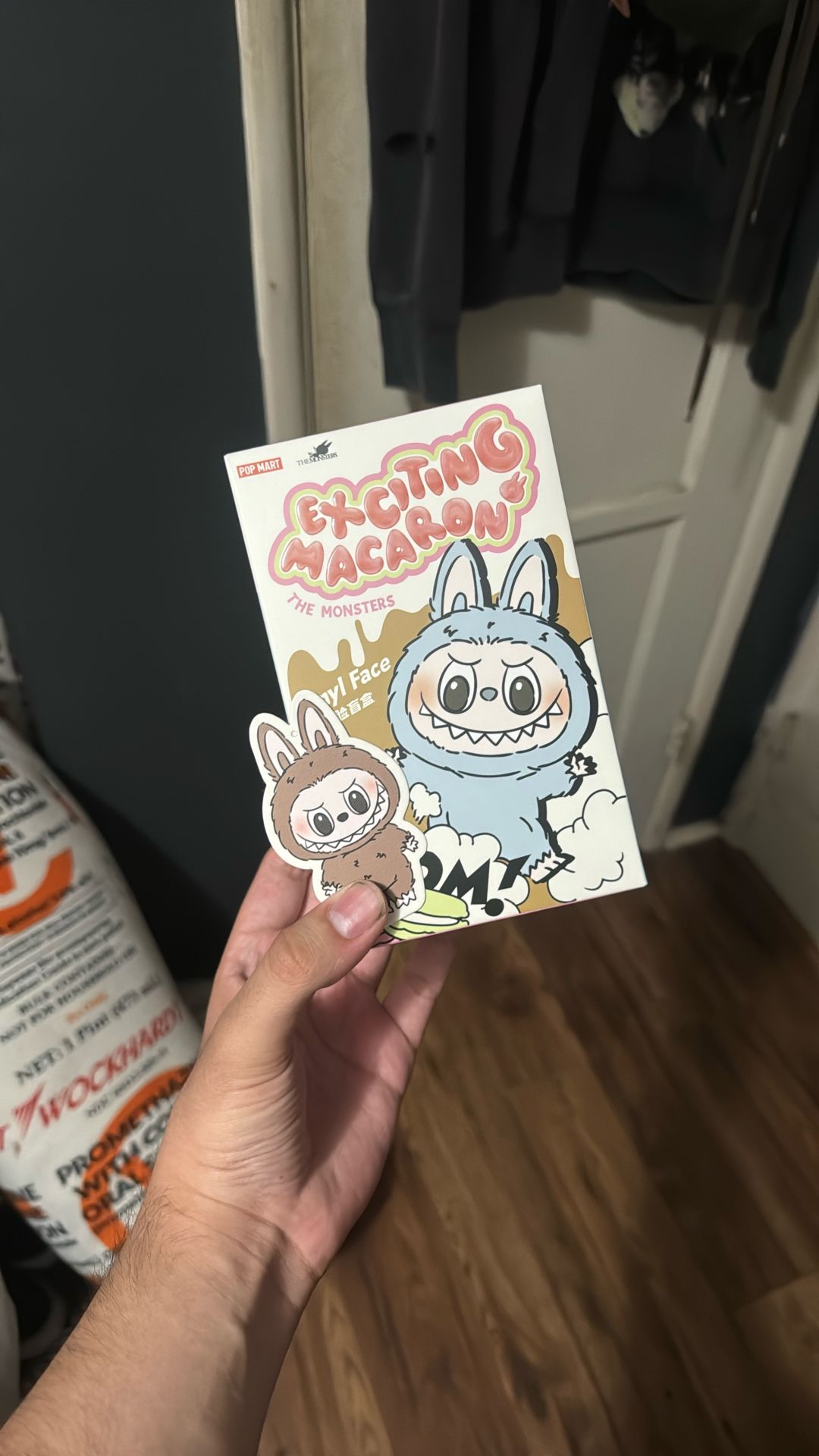 Labubu Exciting Macaron