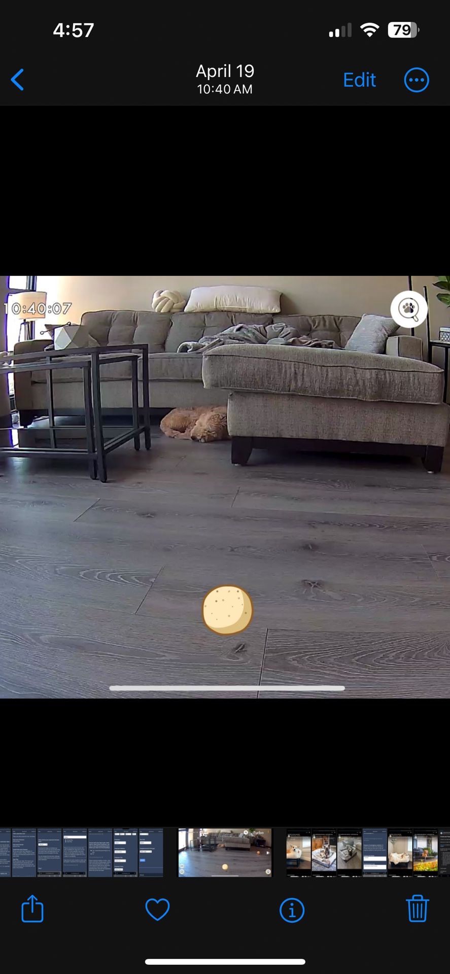 Free Couch, Just Pick It Up for Sale in Chicago, IL OfferUp