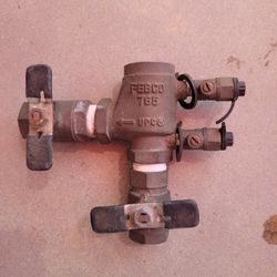 Watts 3-4 765DBV FEBCO 0.75 in. 765 Pressure Vacuum Breaker