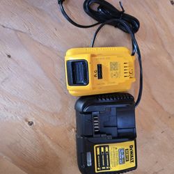 DeWalt Charger And Battery Combo Or Seperare