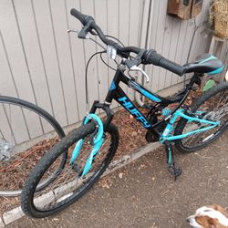 Huffy Bike ($100)