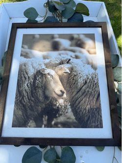 Farmhouse frames