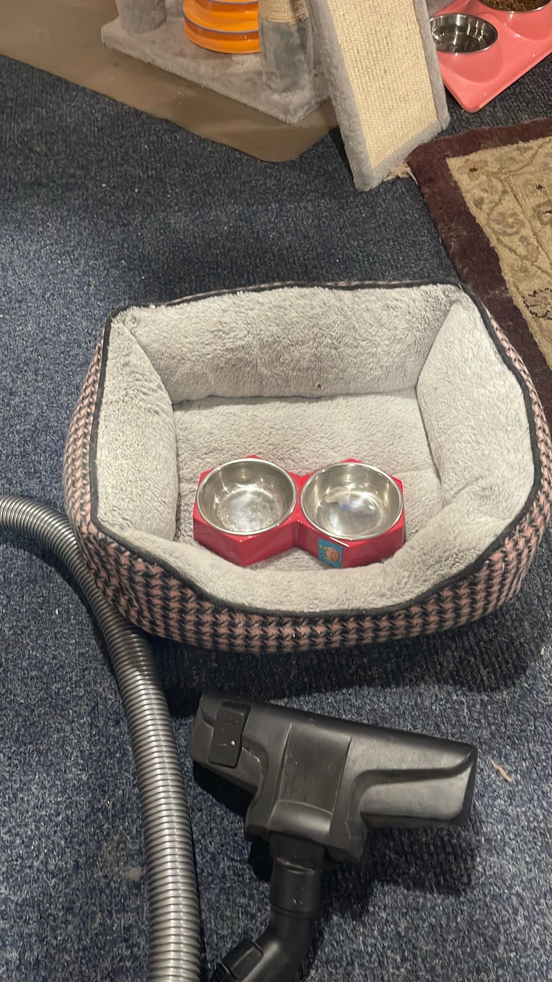 Bed Cat And Bowl Set