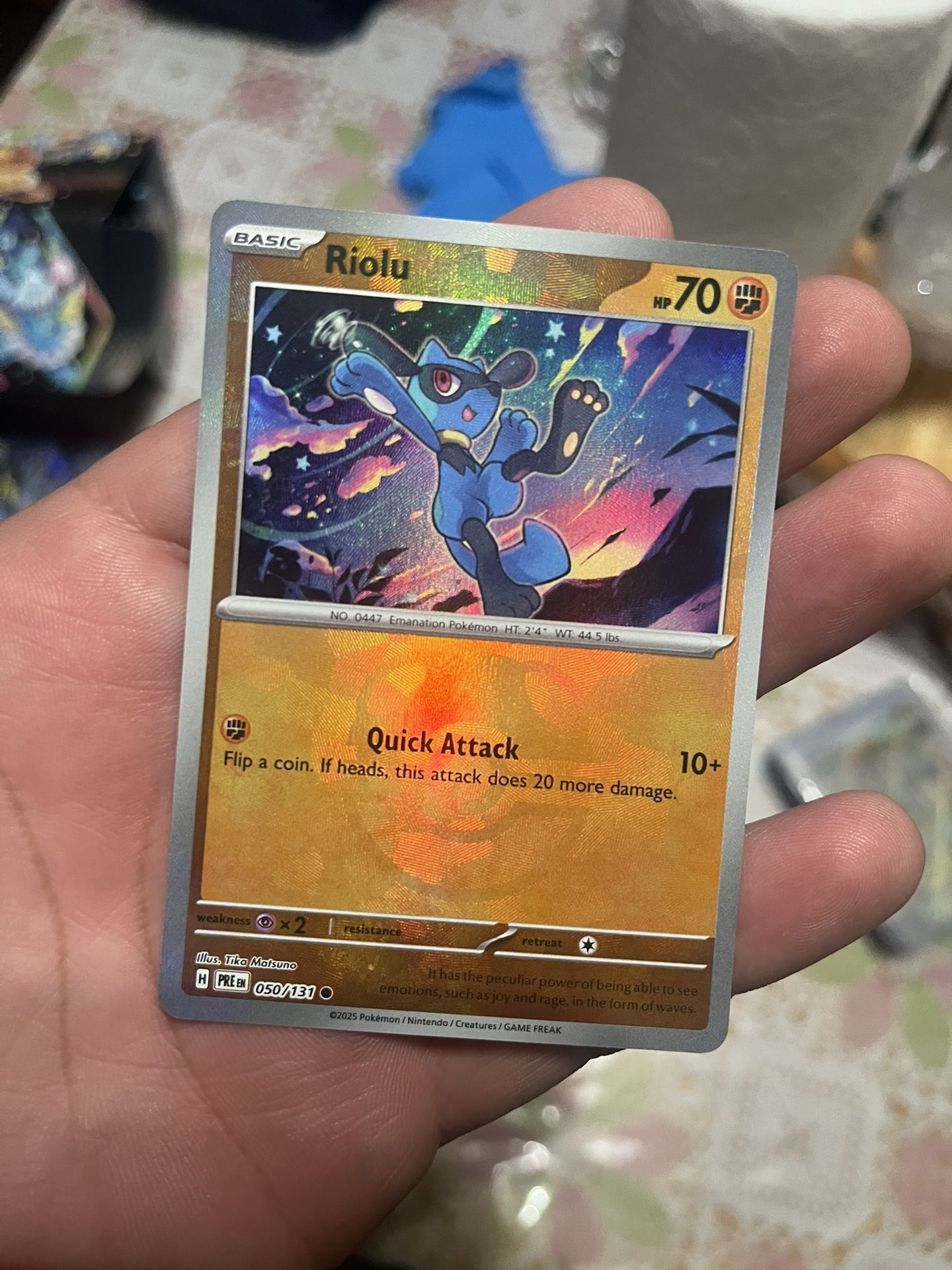 Riolu, Groudon And Noctowo Master Balls 