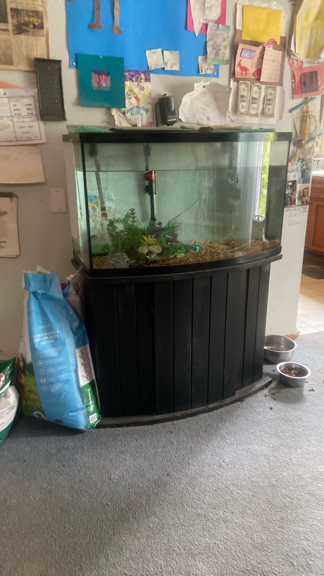 55 Gallon Aqueon Aquarium With Stand