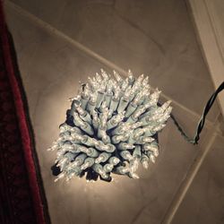 Clear Christmas Lights