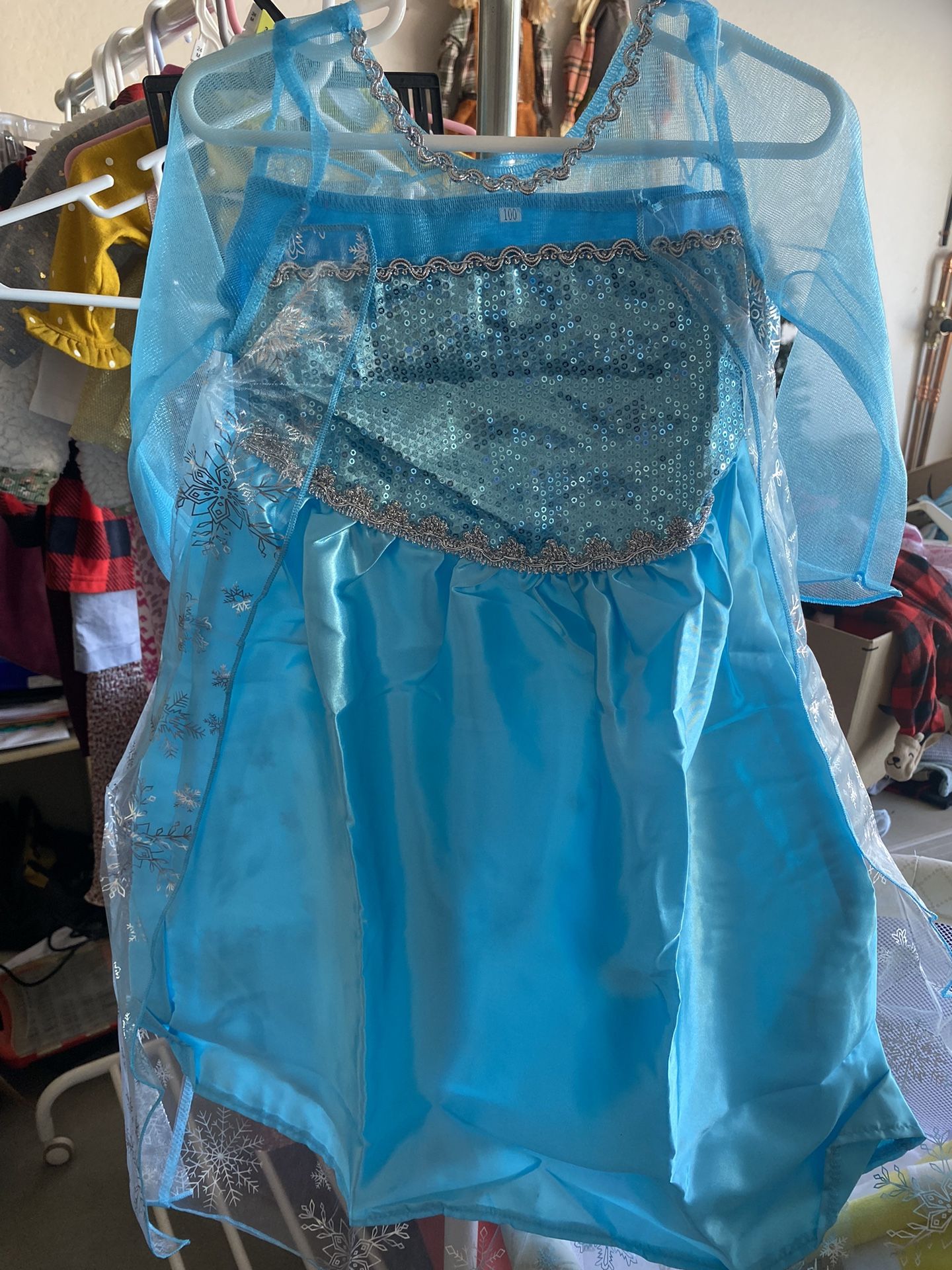 Frozen Elsa Dress/costume