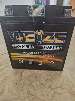 WEIZE 12 Volt 30 Ah MC Battery