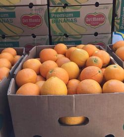 Sweet oranges for sale