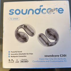 SOUNDCORE BY ANKER ( C30i)