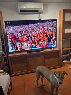 2025 LG TV 76 inch by 43 inch