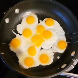 Quails Eggs 🥚fresh