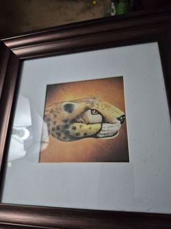 ORIGINAL PICTURES