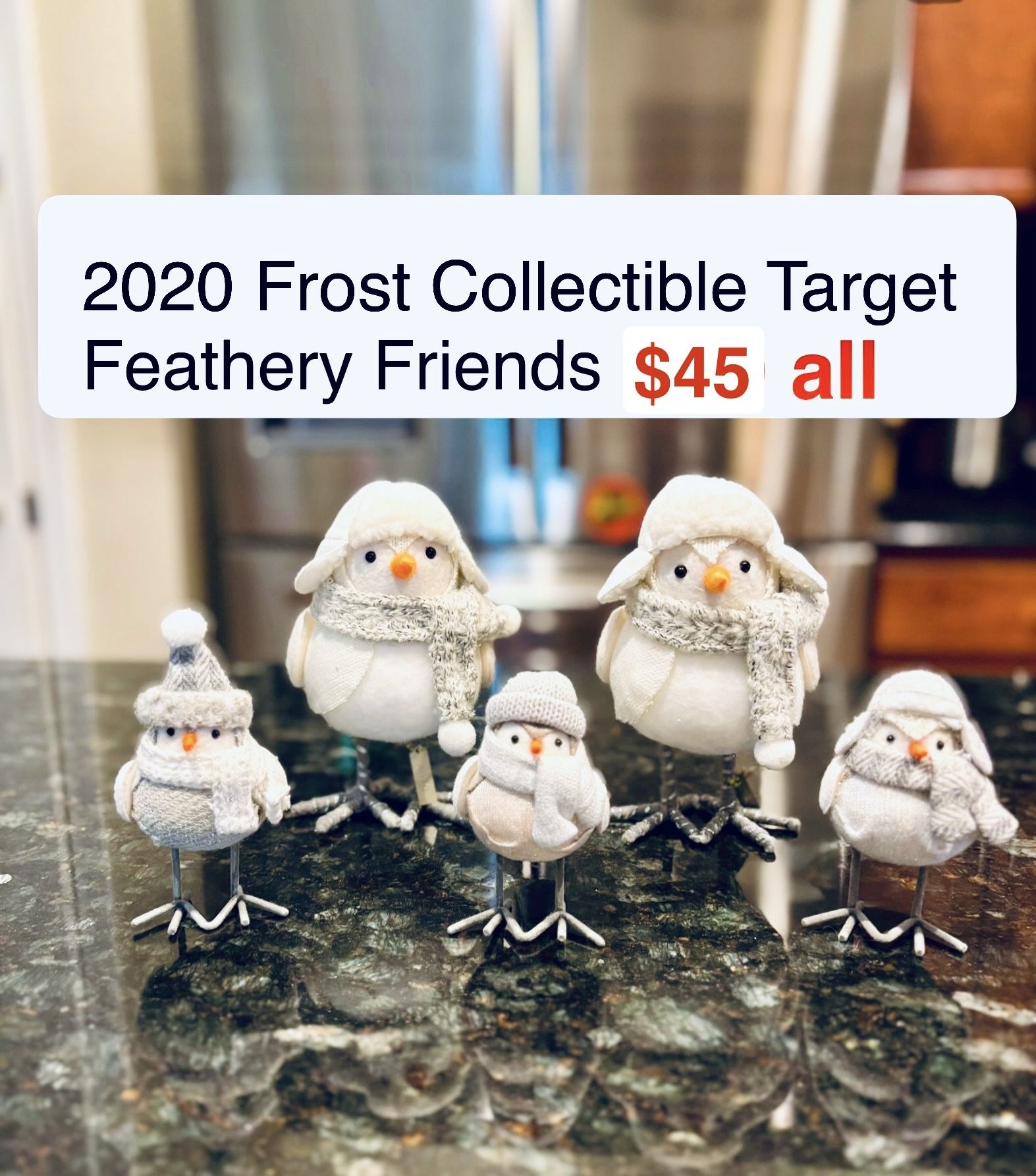 2020 Frost Collectible Target Featherly Friends family of 5 Christmas decor Winter birds